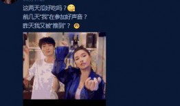 好声音吃瓜视频完整版,揭秘选手幕后故事与精彩瞬间