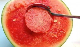 吃瓜用最大的勺视频,揭秘最大勺子的吃瓜新体验