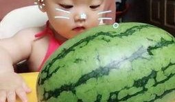 小瓜怎么吃不烂嘴呢视频