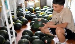 宿舍隔离吃瓜视频,吃瓜视频里的温馨瞬间