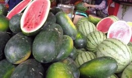 中国吃瓜的视频,揭秘网络热点的幕后故事