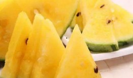 老焦瓜怎样吃最好吃视频,视频教你如何吃出最佳口感