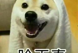 情侣吵架搞笑吃瓜视频,搞笑吃瓜观众笑到肚子疼！