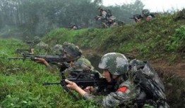 台陆军军官吃瓜事件视频