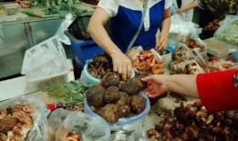 云南人吃折箩瓜视频播放,折箩瓜的独特魅力，视频播放引网友热议