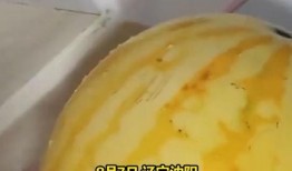 吃黄皮瓜视频教程,轻松学会家常美味