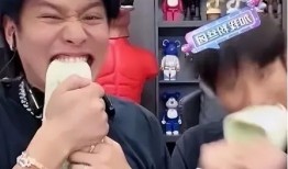 小杨哥和小黄吃瓜视频大全,趣味横生的娱乐圈揭秘