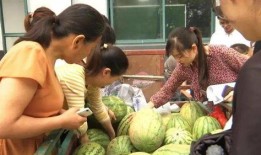 法国人帮忙吃瓜视频,跨国文化交流的趣味瞬间