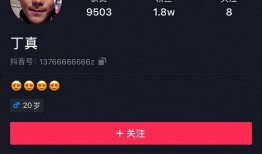 吃瓜国外博主视频下载,下载攻略大公开