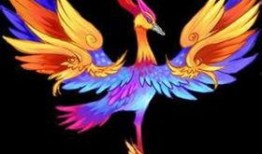 外国神兽吃瓜视频