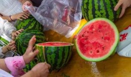 陕西吃瓜视频大全集