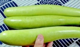 9斤瓜够几个人吃呢视频,够几个人共享美味？