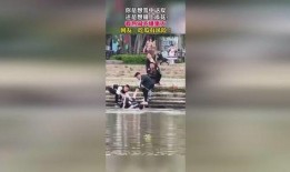 实时在线吃瓜群众视频,揭秘网络热点的幕后故事