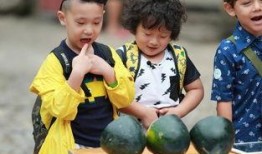 挑战萌娃吃瓜视频下载,萌娃们的瓜界奇遇记