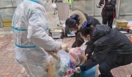 镇平疫情吃瓜事件视频播放