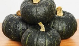 孩子吃贝贝瓜视频大全集,孩子眼中的甜蜜时光