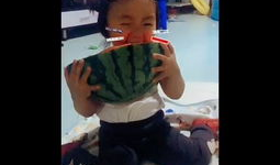 吃瓜宝宝视频全集,揭秘视频全集中的欢乐与泪水