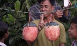 外国恶心吃瓜视频,那些让你瞠目结舌的恶心吃瓜视频