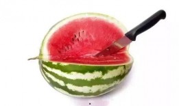 顶级吃瓜群众视频,视频背后的热点追踪与娱乐狂欢