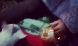 猫吃瓜视频现场,现场直播，萌宠吃瓜大赛精彩瞬间