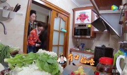 全家带凳子吃瓜真千金爆料视频,视频爆料背后的真相