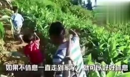 绍兴吃瓜事件真相视频全集,揭秘真相与网络舆论的漩涡