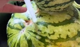 盘点那些吃瓜搞笑视频,那些让人捧腹大笑的吃瓜搞笑视频