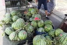 济阳吃瓜事件视频最新,一场网络狂欢背后的真相与反思