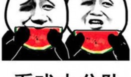 吃瓜表情视频,趣味横生的网络潮流
